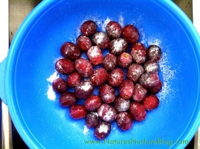 What Is The White Stuff On Grapes What Is The White Stuff On Grapes