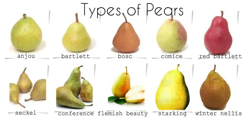 What Month Do You Pick Pears