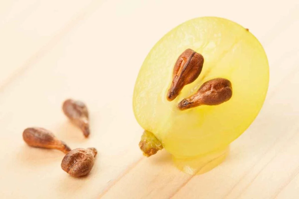 What To Do With Grapes With Seeds