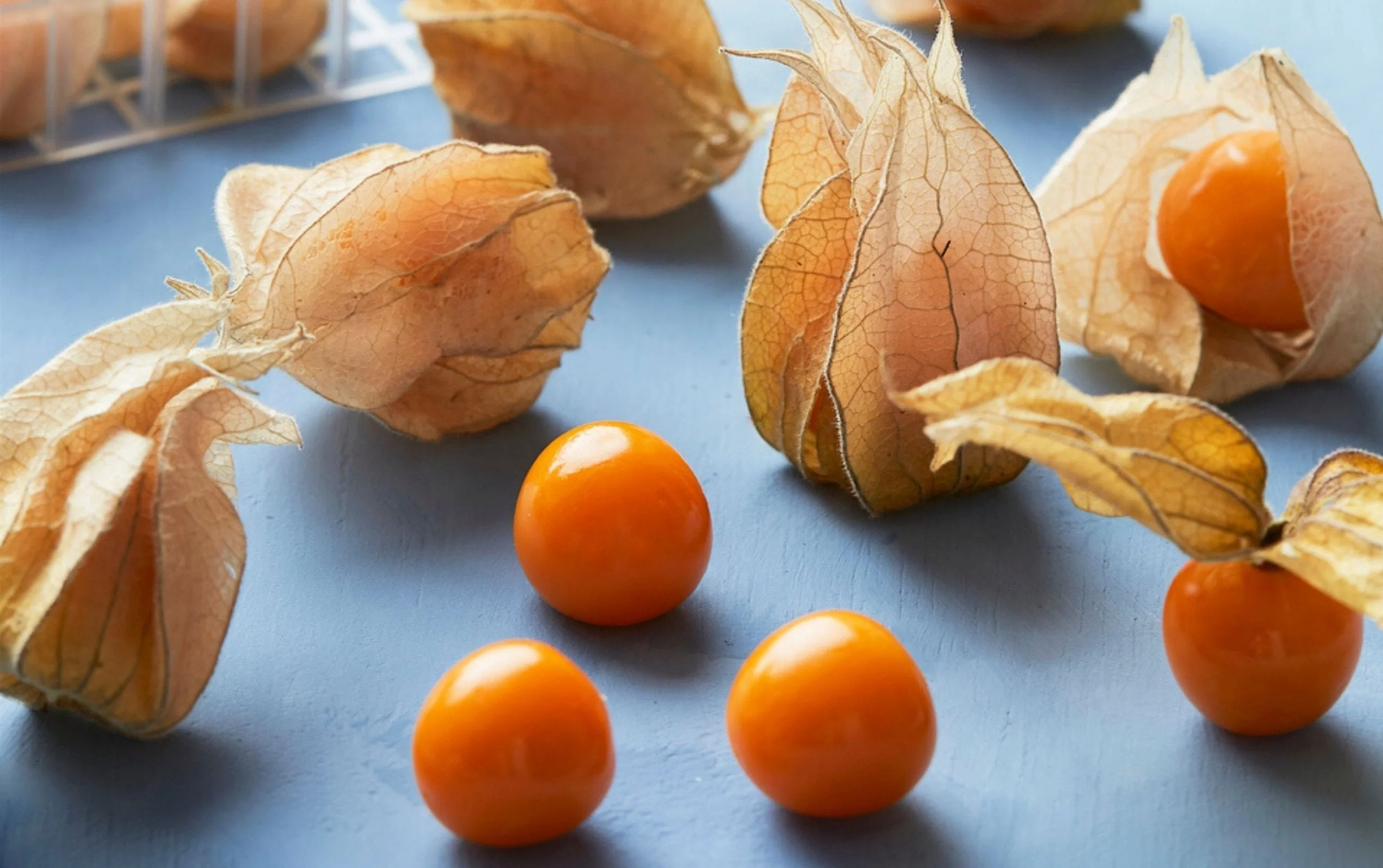 What To Do With Ground Cherries What To Do With Ground Cherries