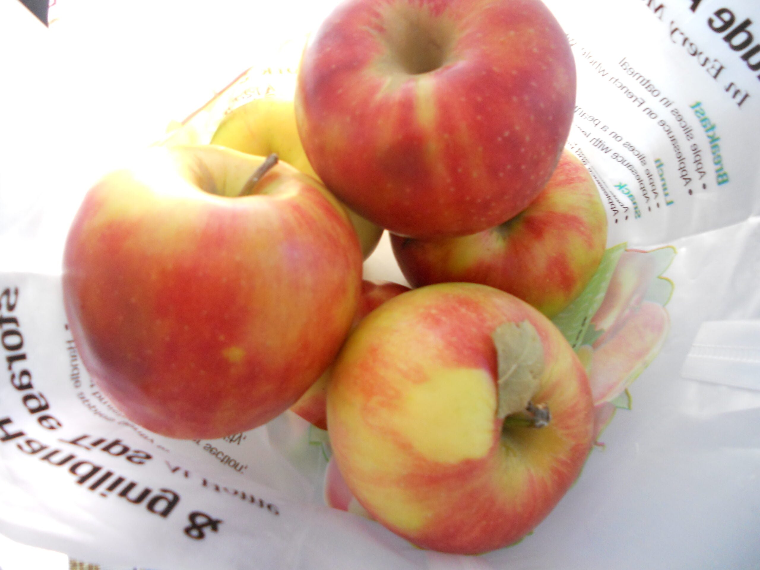 What To Do With Overripe Apples What To Do With Overripe Apples