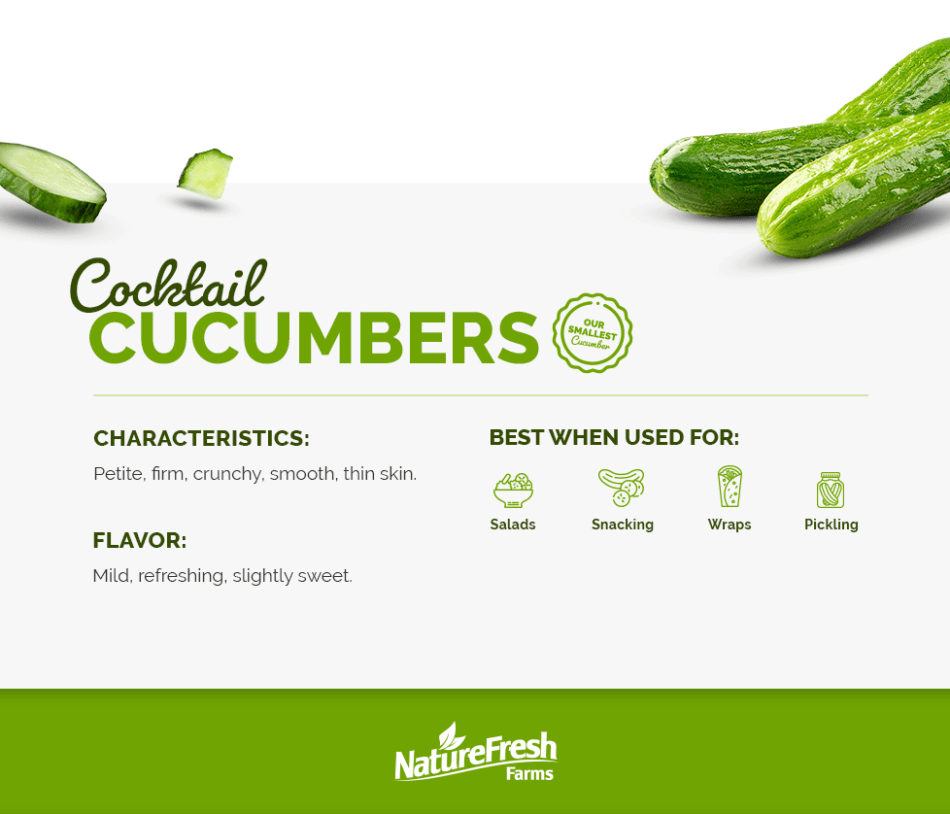 What You Need to Know About Cocktail Cucumbers