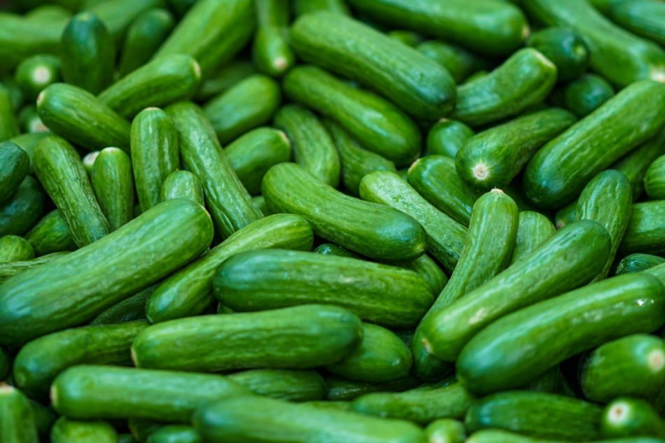 What You Need to Know About Cocktail Cucumbers