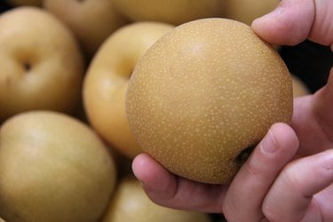 When Are Apple Pears Ripe When Are Apple Pears Ripe