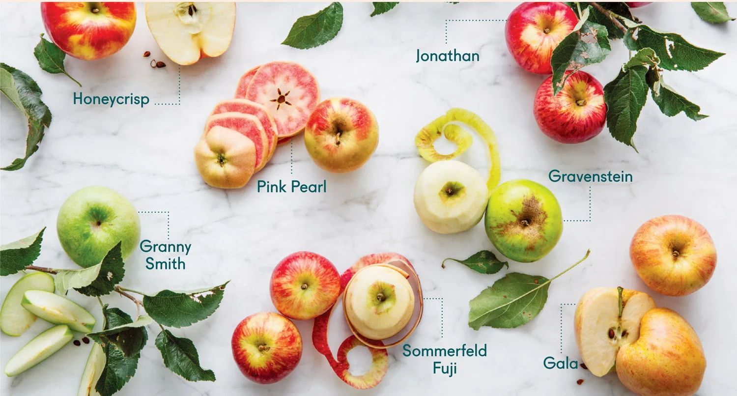 When Are Apples In Season In California