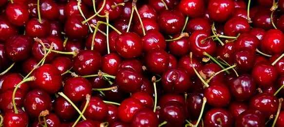 When Are Bing Cherries In Season