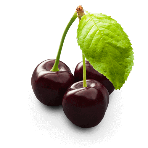 When Are Black Cherries In Season When Are Black Cherries In Season