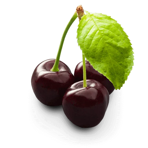 When Are Black Cherries In Season