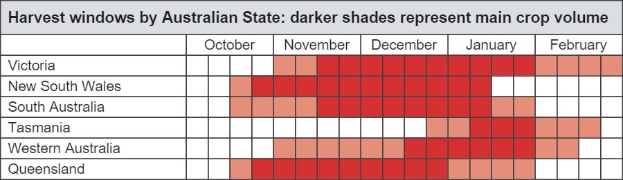 When Are Cherries Harvested When Are Cherries Harvested