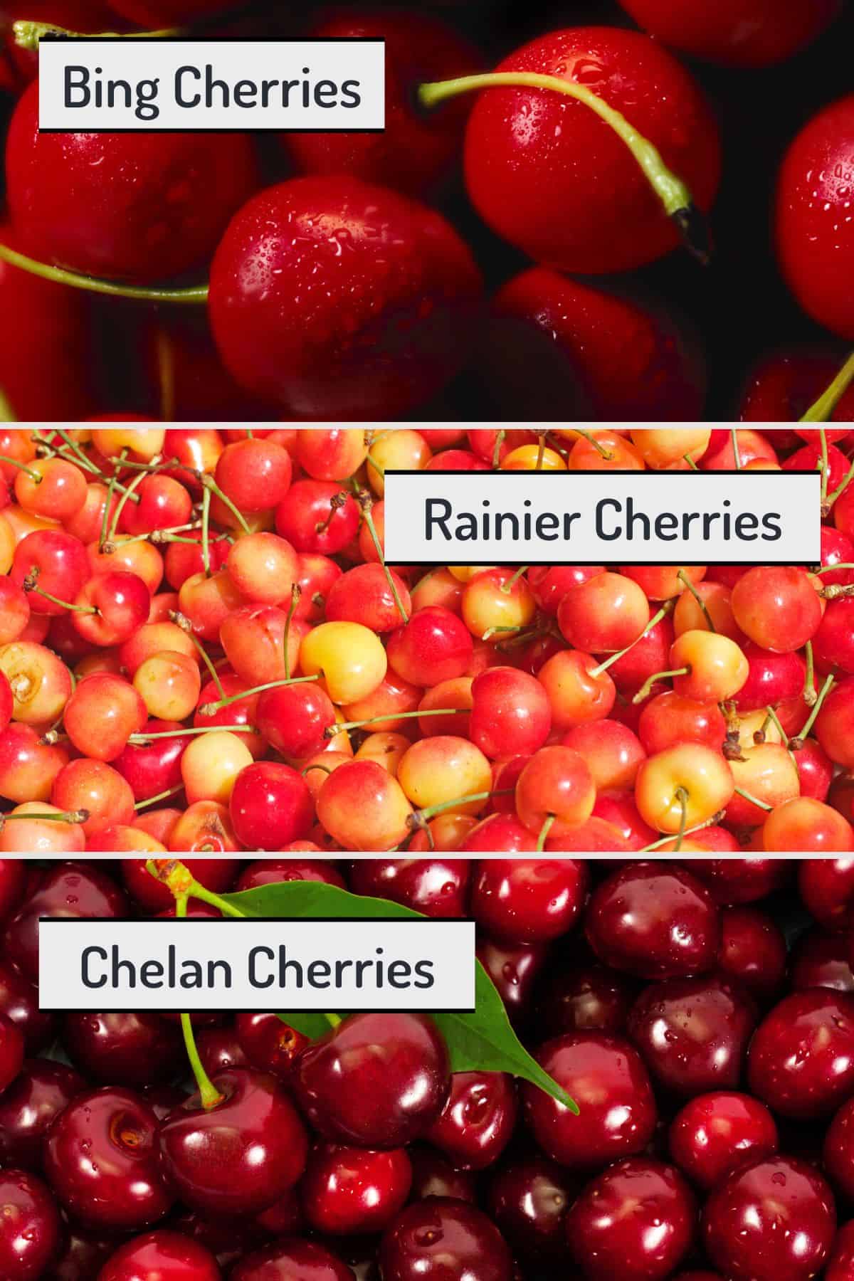 When Are Cherries In Season In Texas When Are Cherries In Season In Texas