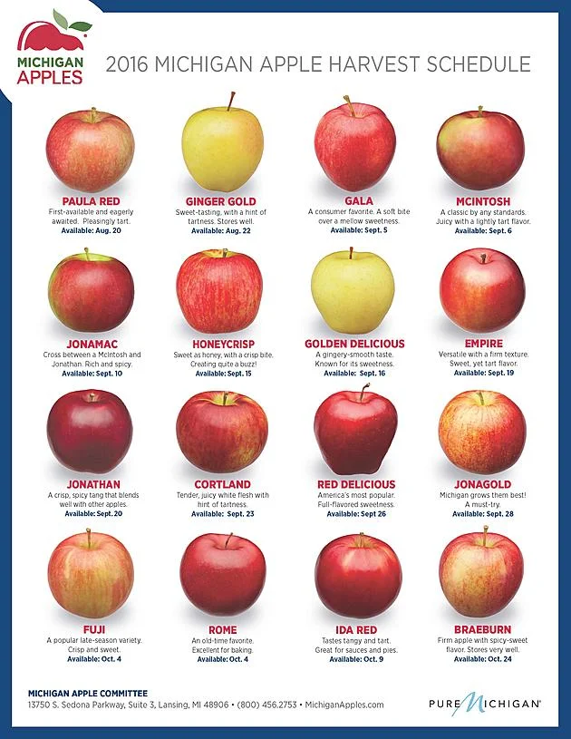 When Are Gala Apples Ready To Pick