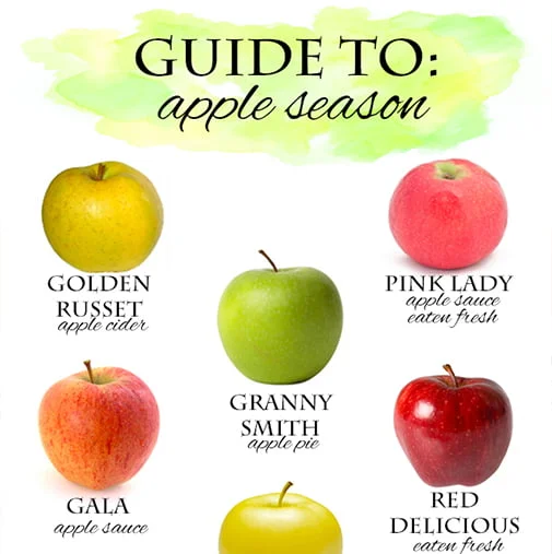 When Are Granny Smith Apples In Season - GreenThumbsGuide