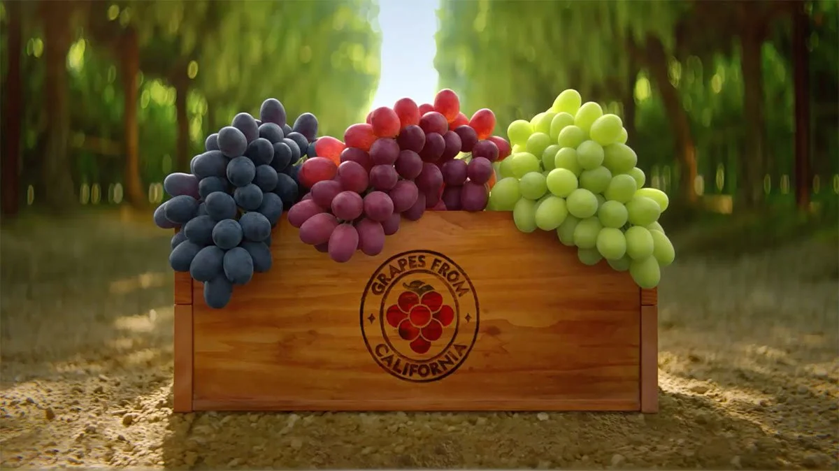 When Are Grapes In Season In California