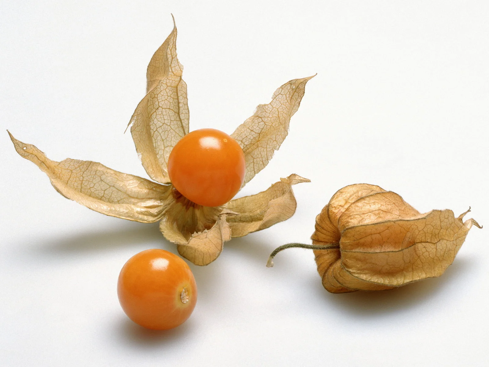 When Are Ground Cherries Ripe