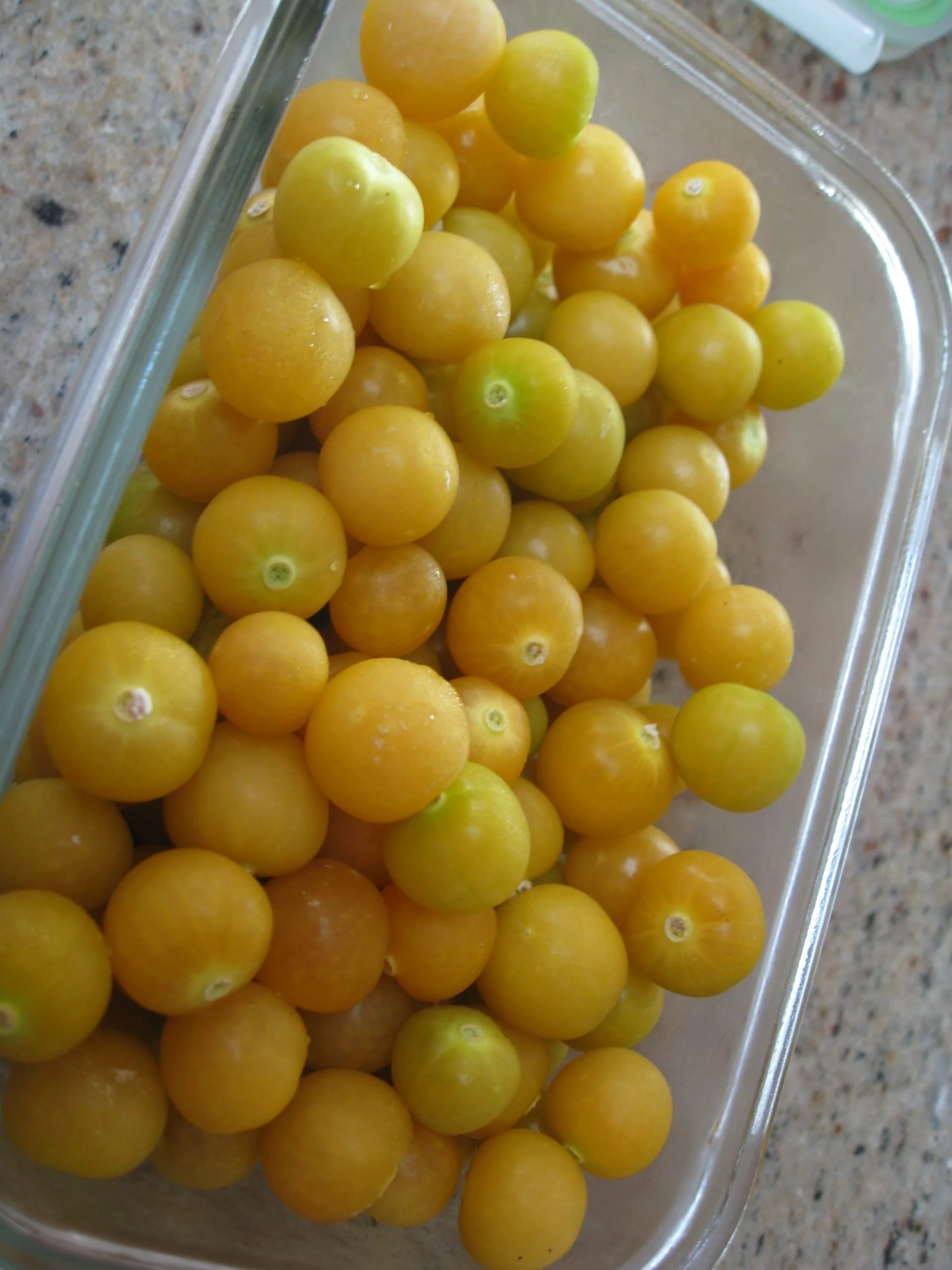 When Are Ground Cherries Ripe