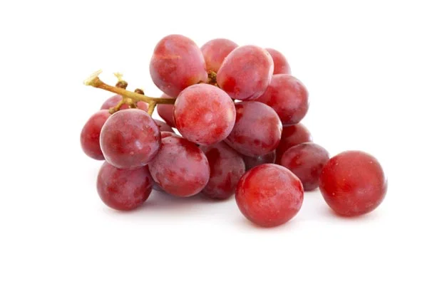 When Are Red Grapes In Season