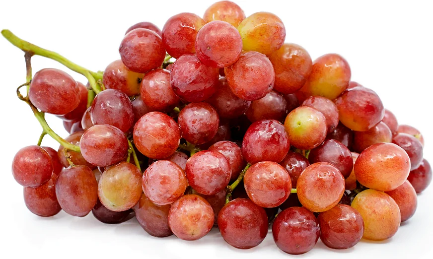 When Are Red Grapes In Season