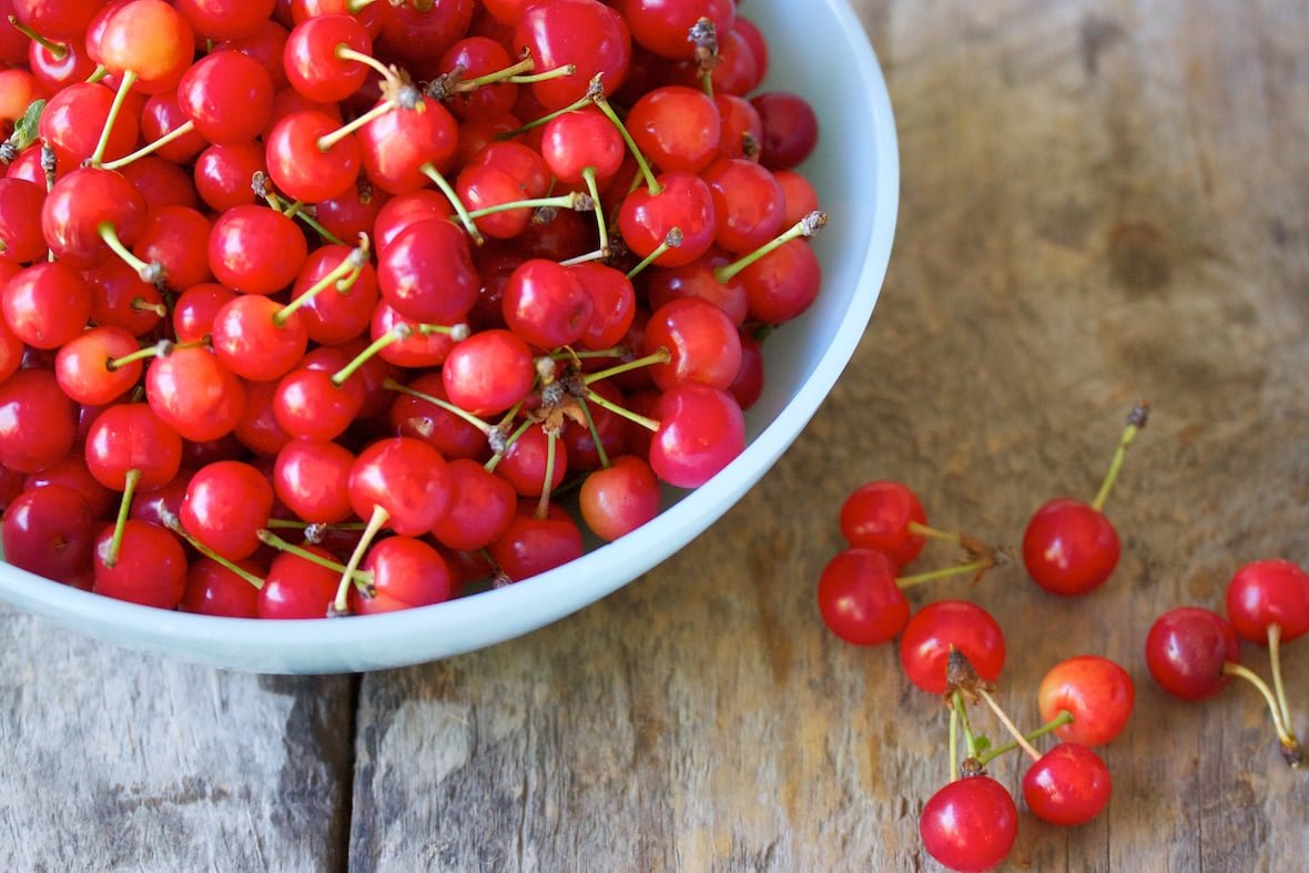 When Are Sour Cherries In Season