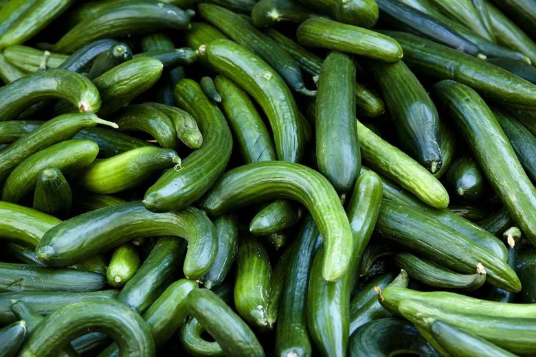When is cucumber season?