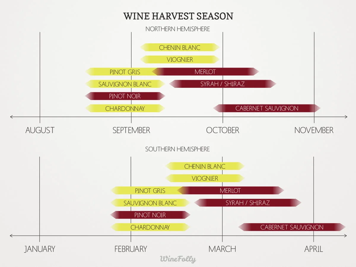 When is grape season?