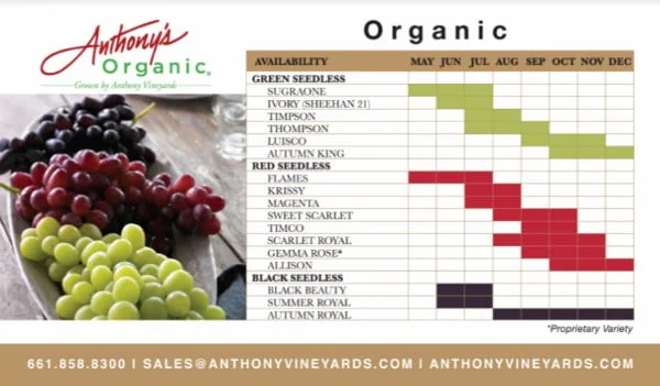 When is grape season?