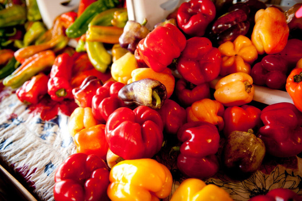 When is the Best Time to Plant Bell Peppers in NC? When is the Best Time to Plant Bell Peppers in NC?
