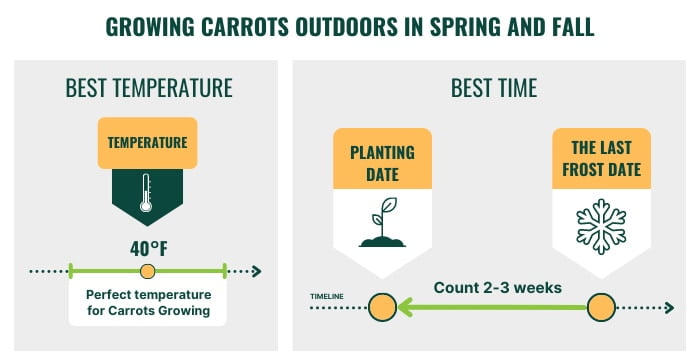 When is the Best Time to Plant Carrots in Georgia? When is the Best Time to Plant Carrots in Georgia?