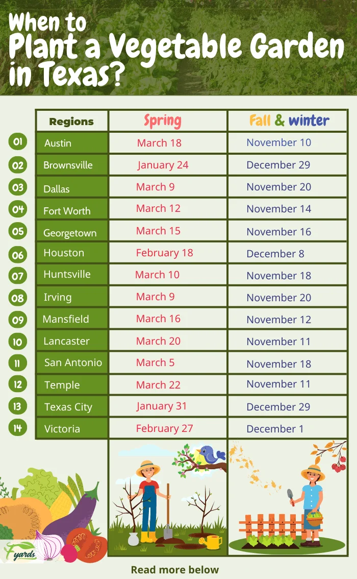 When is the Best Time to Plant Zucchini in Texas?