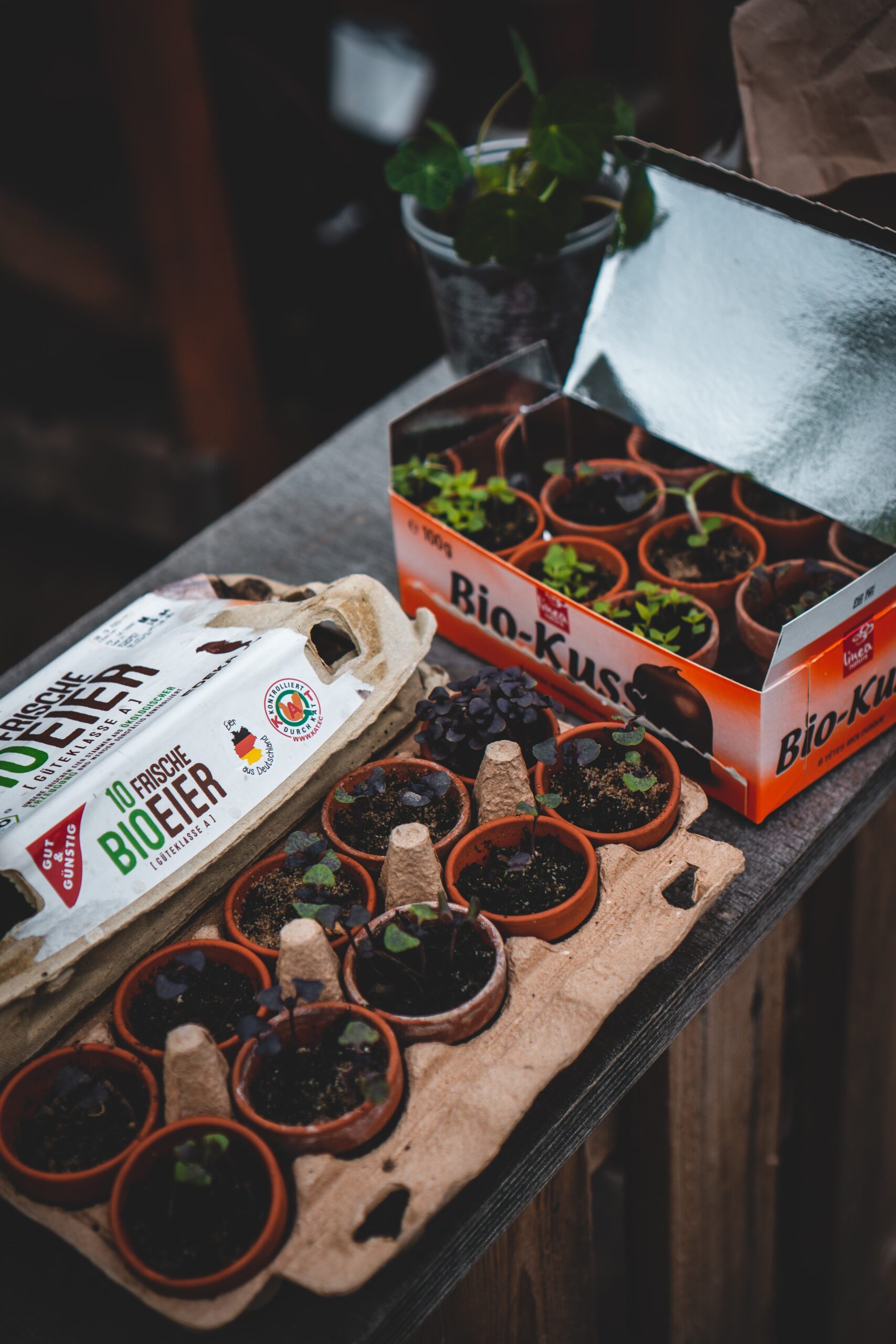 When to plant butternut squash in zone 6 When to plant butternut squash in zone 6