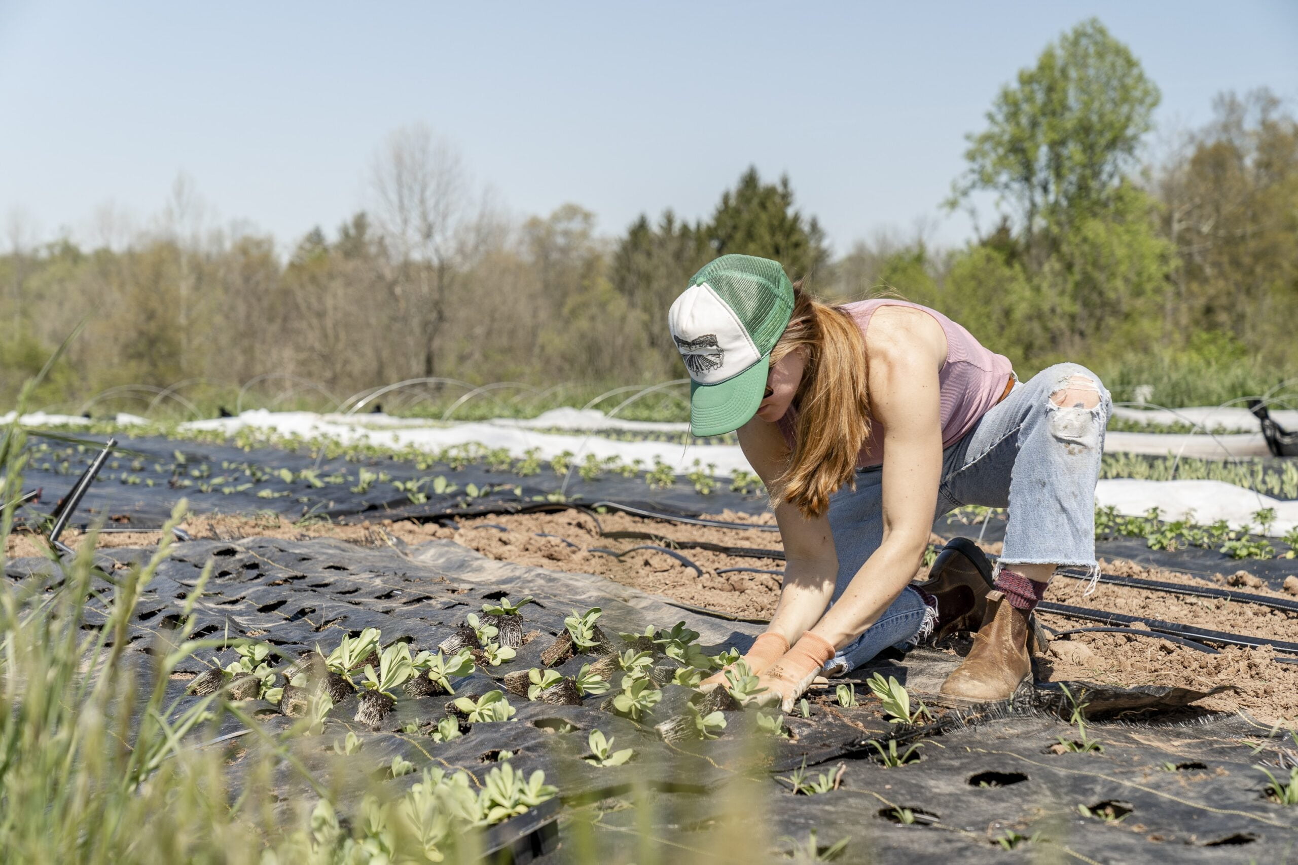 When to plant butternut squash in zone 6 When to plant butternut squash in zone 6