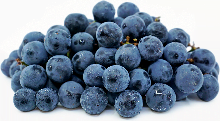 Where Are Concord Grapes From