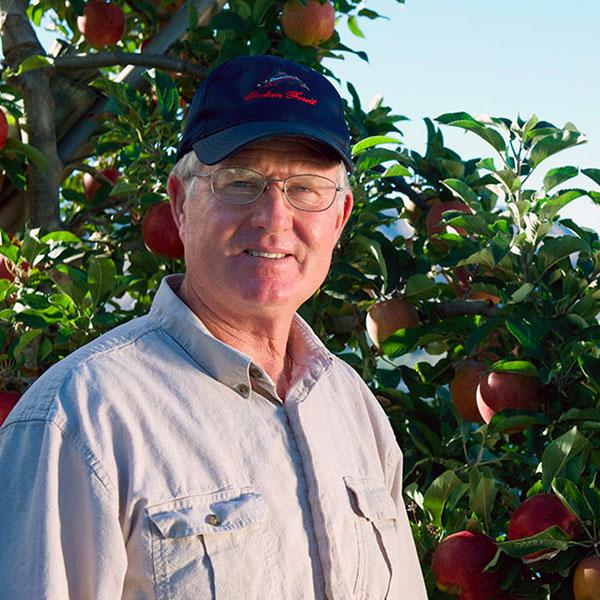 Where Are Envy Apples Grown Where Are Envy Apples Grown