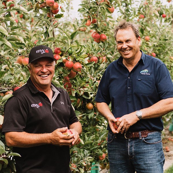 Where Are Envy Apples Grown Where Are Envy Apples Grown