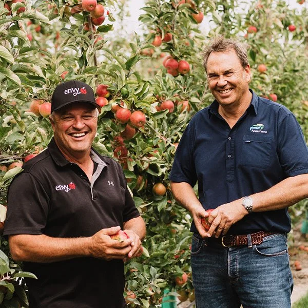Where Are Envy Apples Grown