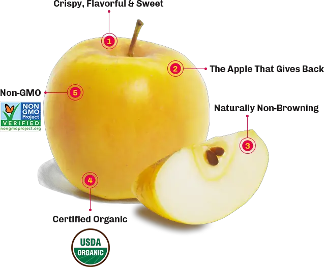 Where Are Opal Apples Grown Where Are Opal Apples Grown