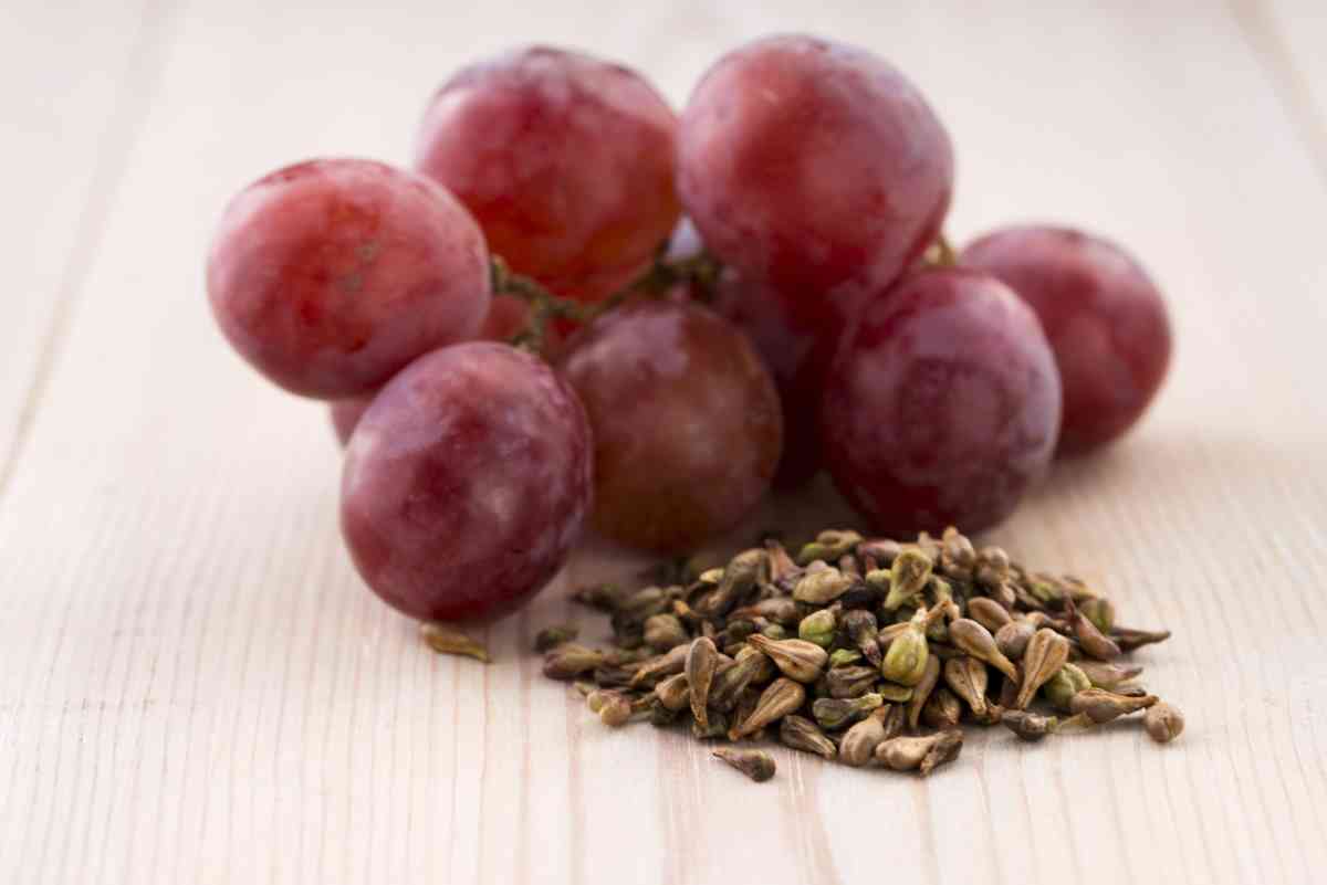 Where Can I Find Grapes With Seeds Where Can I Find Grapes With Seeds