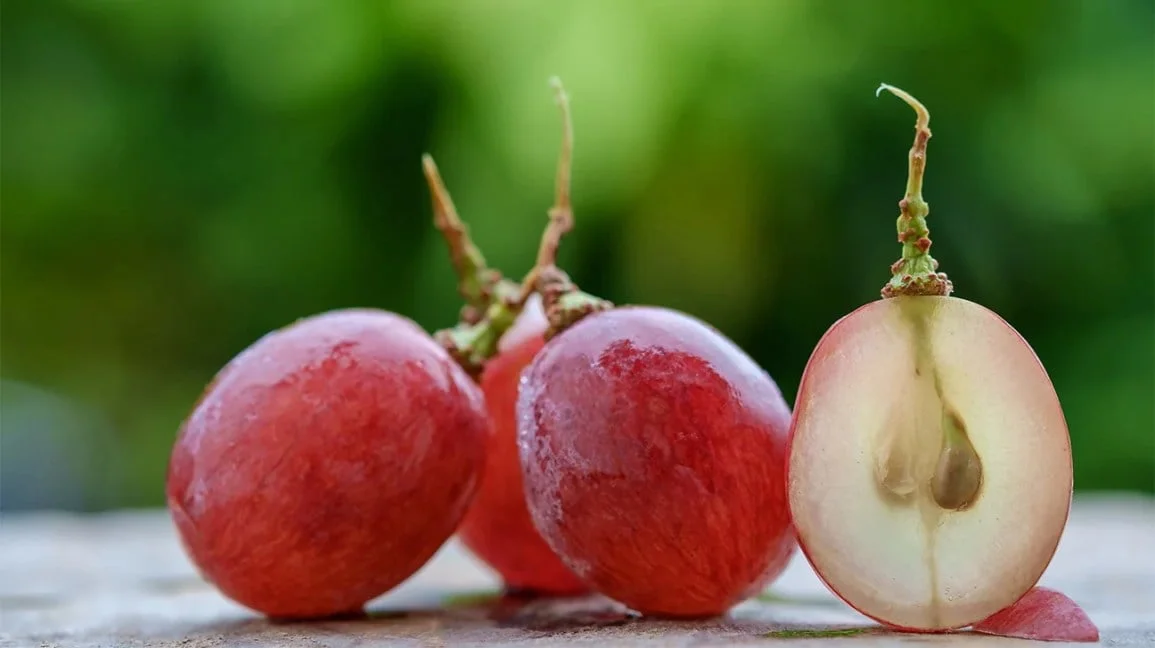 Where Can I Find Grapes With Seeds