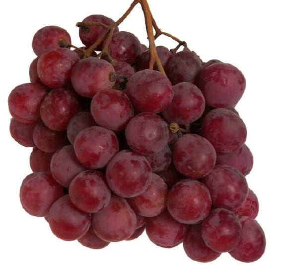 Where Can I Find Seeded Grapes Where Can I Find Seeded Grapes