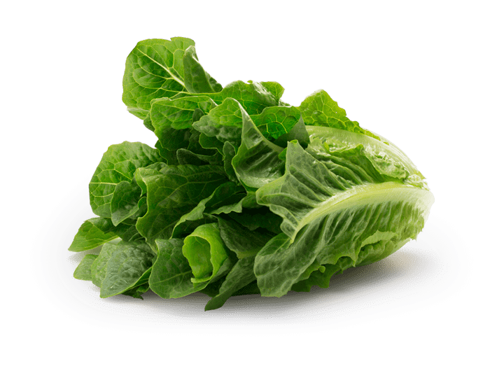Where is Dole Romaine Lettuce Cultivated? Where is Dole Romaine Lettuce Cultivated?
