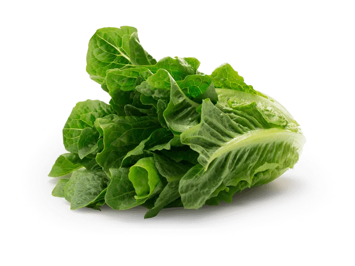 Where is Dole Romaine Lettuce Cultivated?