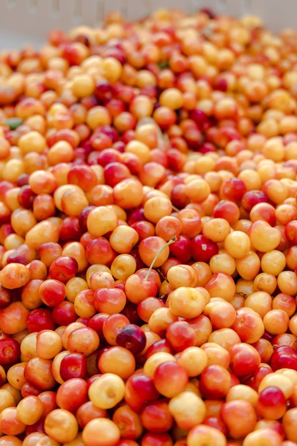 Where to Find Rainier Cherries Where to Find Rainier Cherries