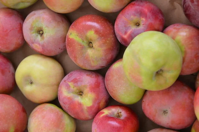 Why are McIntosh Apples So Hard to Find?