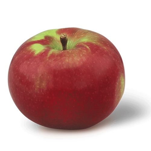 Why are McIntosh Apples So Hard to Find? Why are McIntosh Apples So Hard to Find?