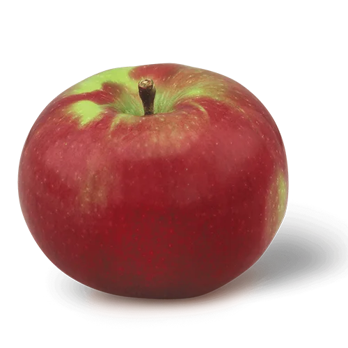 Why are McIntosh Apples So Hard to Find?