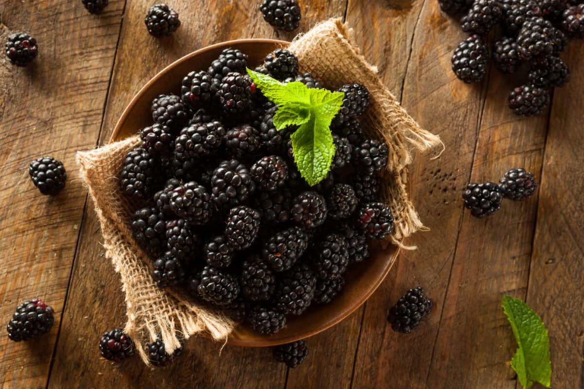 Why Are My Blackberries Sour?: The Science Behind Tartness Why Are My Blackberries Sour?: The Science Behind Tartness