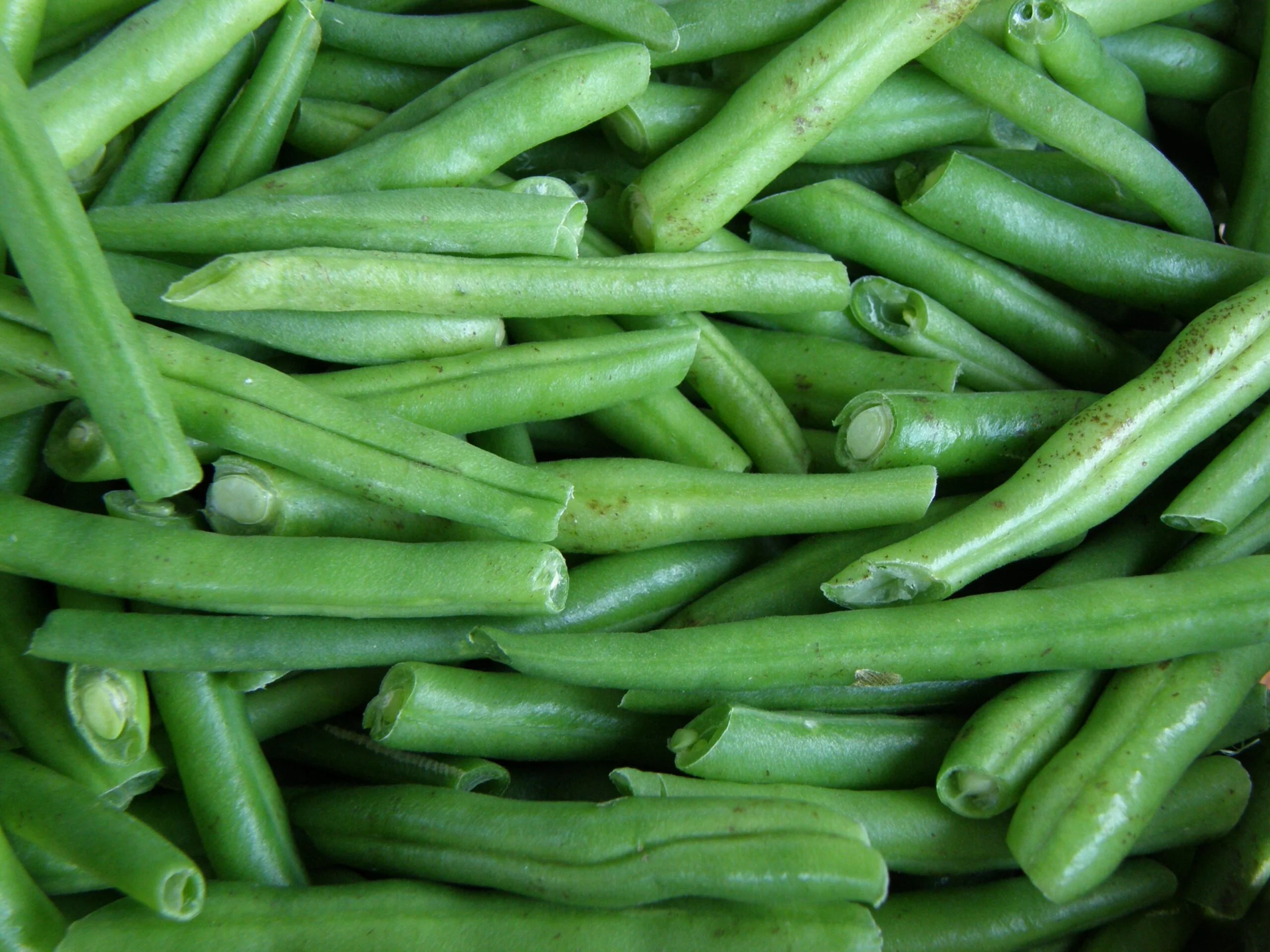 Why are my green beans squeaky?