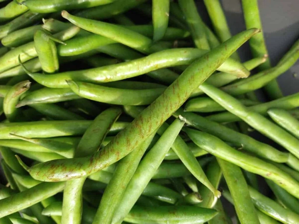 Why are my green beans sticky?