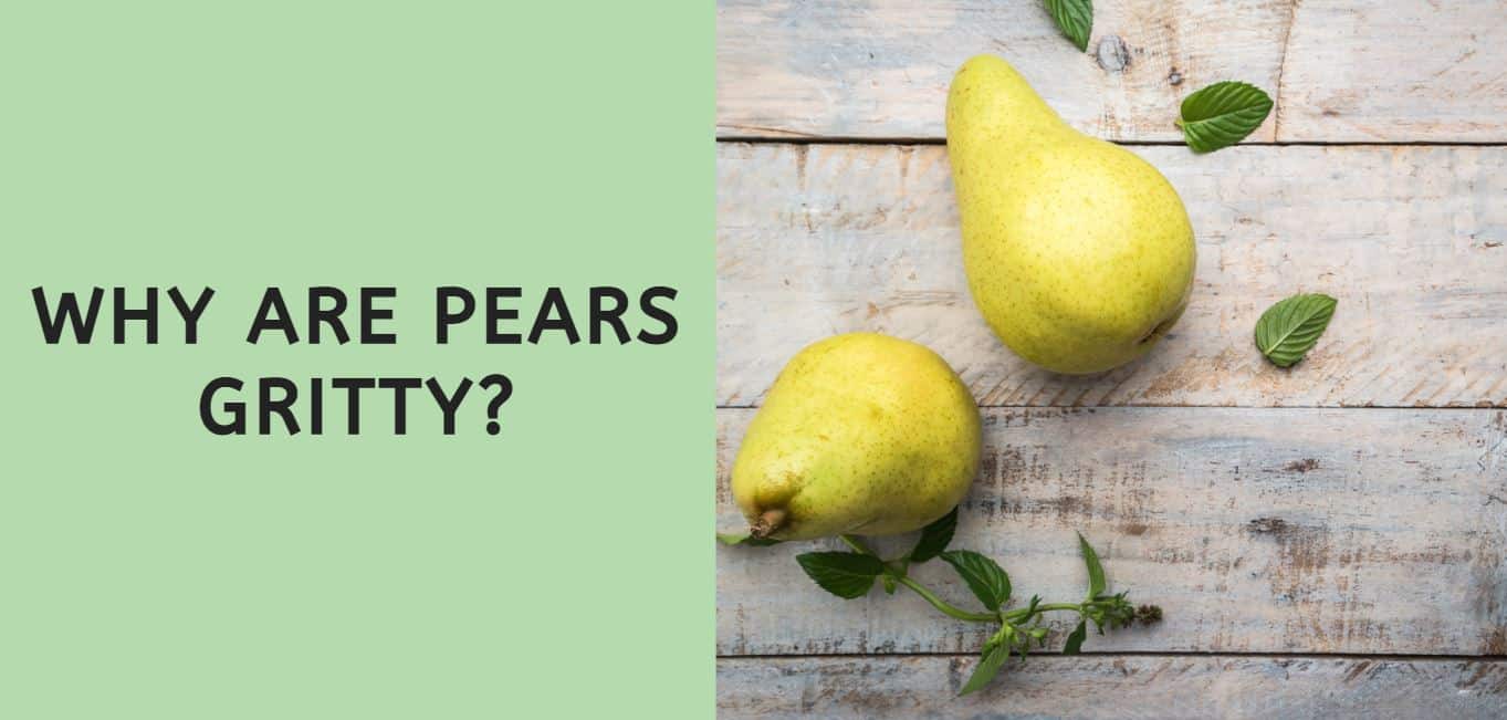 Why Are Pears Gritty