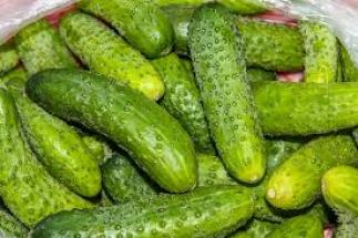 Why do cucumbers have spiky skin? Why do cucumbers have spiky skin?