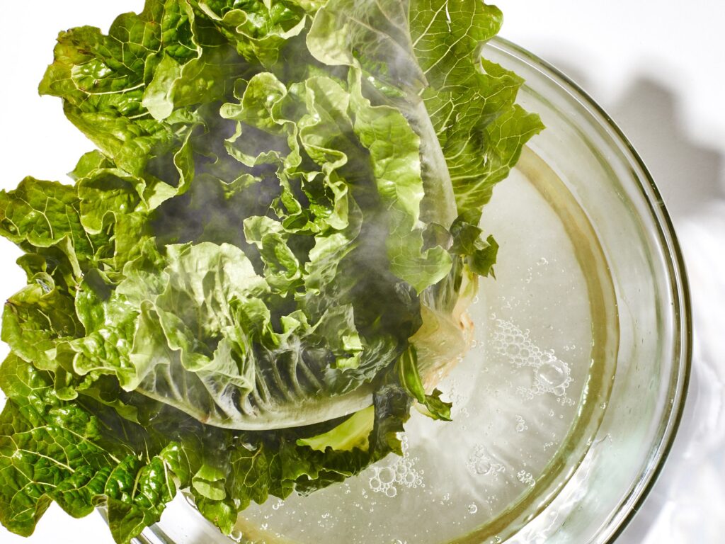 Why Does Lettuce Become Crisp When Soaked in Water Why Does Lettuce Become Crisp When Soaked in Water